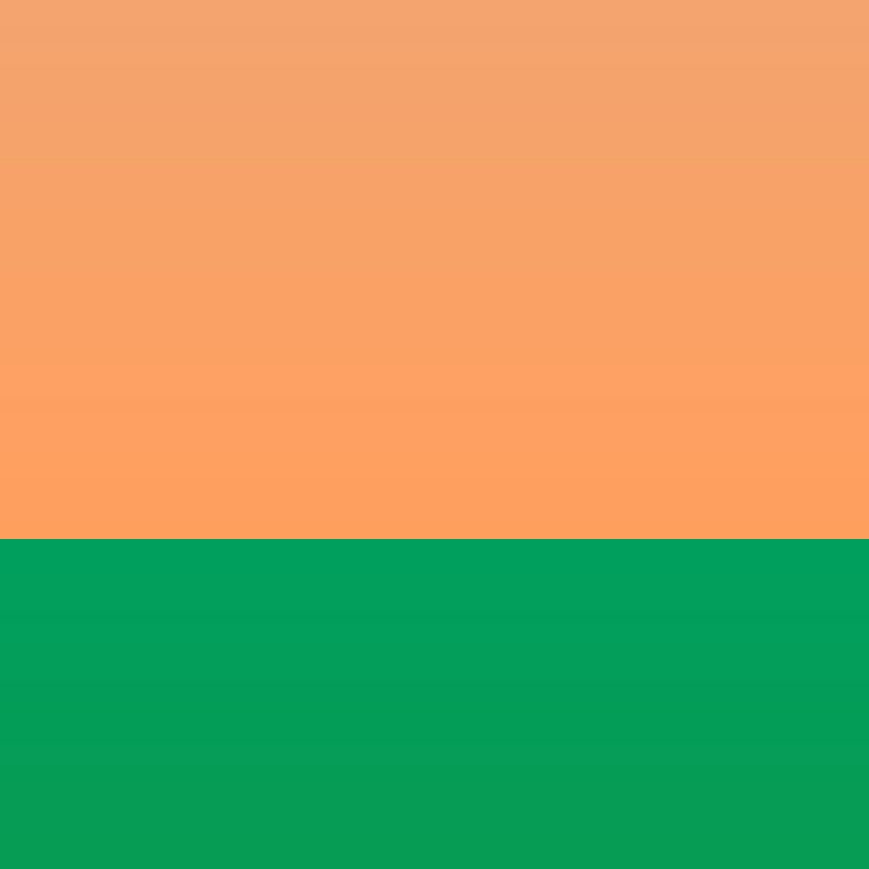 Bangsi Appelsínugulur 205 2