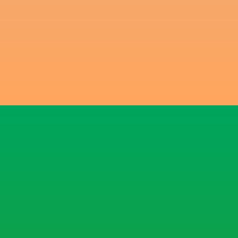 Bókhilla Appelsínugulur 166 2